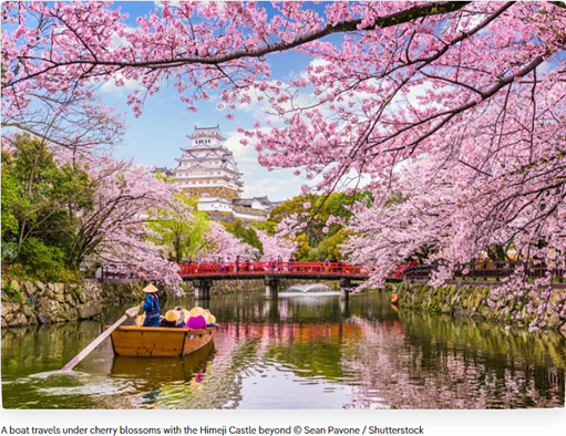 旅行ガイドブック出版社「ロンリープラネット」が今年の春に日本で桜を楽しむ場所ベスト５として吉野山と円山公園を紹介しました 